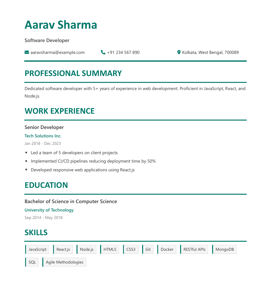 Professional Template